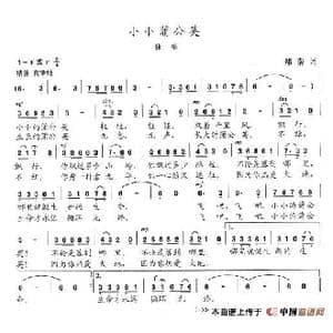 小小蒲公英_歌谱投稿_词曲:郑南 陈志昂