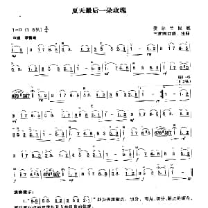 二胡谱 | 夏天最后一朵玫瑰 爱尔兰民歌 王莉莉订谱