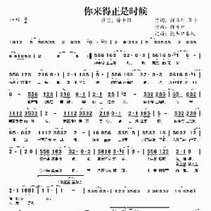 你来得正是时候_歌曲简谱_词曲:何沐阳 蒋平 何沐阳