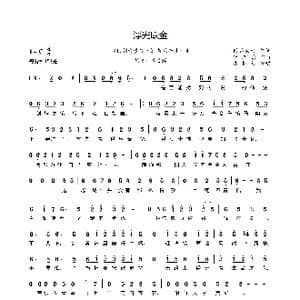 浮光跃金_歌曲简谱_词曲:网易天音 曾志豪