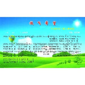 放飞希望_歌谱投稿_词曲:关纯辉 关纯辉