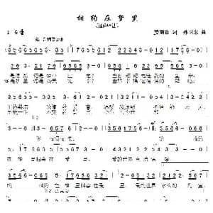 相约在梦里_歌曲简谱_词曲:姜南云 孙卫东