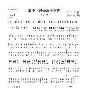 放不下过去放不下你_歌曲简谱_词曲:郝珊珊 王浩