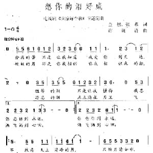 想你的泪好咸_通俗唱法乐谱_词曲:金燃 张藜 许镜清