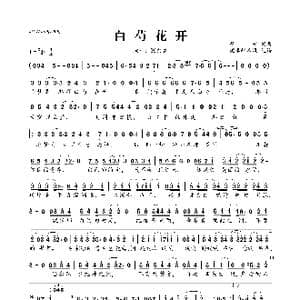白芍花开_歌曲简谱_词曲:程堃 程堃