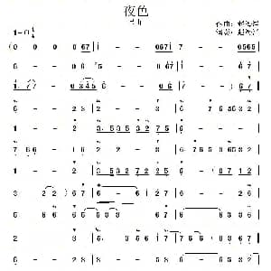 夜色 箫曲 赵海洋