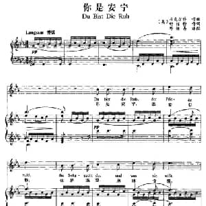 你是安宁 奥地利 _外国歌谱_词曲:吕克尔特 奥 舒伯特曲 邓映易译配