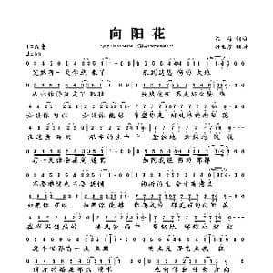 向阳花_歌曲简谱_词曲:汪峰 汪峰