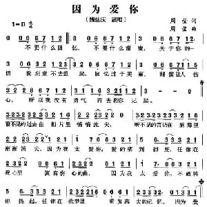 因为爱你_通俗唱法乐谱_词曲:周莹 周莹