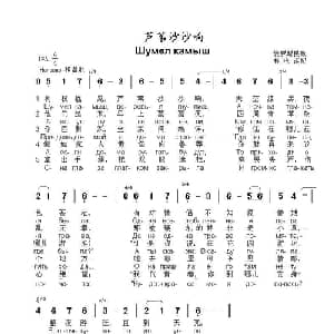 芦苇沙沙响Шумел камыш_外国歌谱_词曲:俄罗斯民歌