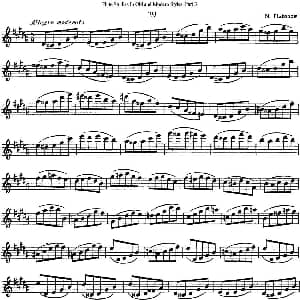 长笛曲谱 | 斯勒新老风格长笛练习重奏曲 第三部分 NO.29 NO.31 Siegfried Thiele S. 斯勒