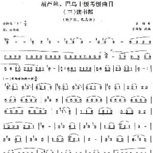 巴乌十级考级曲目 读书郎 宋扬曲 胡结续改编