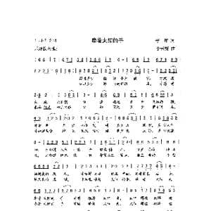 牵着太阳的手_歌曲简谱_词曲:辛茹 李云翔