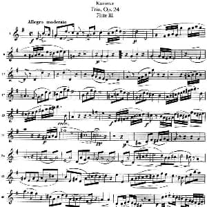 长笛曲谱 | 库默长笛三重奏Op.24 Flute 3 Kummer 库默