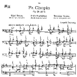 53首改编练习曲 钢琴谱 里奥鲍尔德 戈多夫斯基