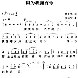 军歌金曲 因为我拥有你_通俗唱法乐谱_词曲:赵大鸣 汪镇宁