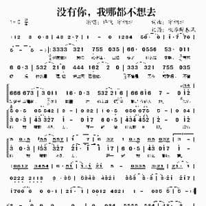 没有你我哪都不想去_歌谱投稿_词曲:宇桐非 宇桐非