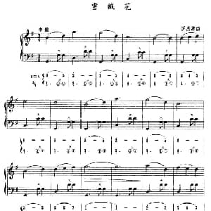 手风琴谱 | 雪绒花 五线谱 简谱 美 罗杰斯