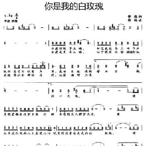 你是我的白玫瑰_通俗唱法乐谱_词曲:祁越 祁越