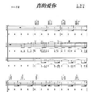 真的爱你 吉他谱 小美 黄家驹