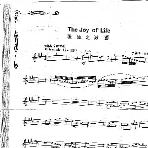 The Joy Of Lire 生之歌 吉他谱