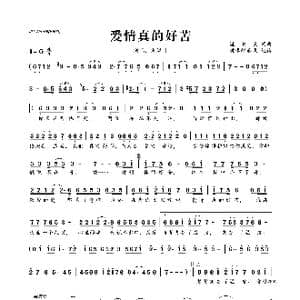 爱情真的好苦_歌曲简谱_词曲:湛洪良 湛洪良