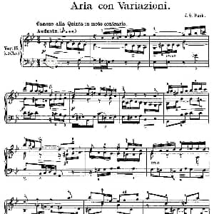 Aria con Variazioni 之15 钢琴谱 J.S.Bach