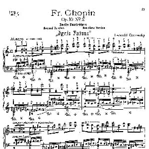 53首改编练习曲 钢琴谱 里奥鲍尔德 戈多夫斯基