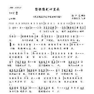 想你想到心里头_歌曲简谱_词曲:杨浩龙 杨浩龙