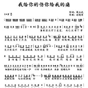 我给你的伤你给我的痛_通俗唱法乐谱_词曲:候立战 彭德华