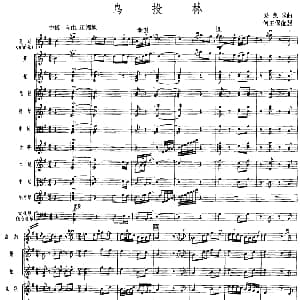 鸟投林 广东音乐 高胡 乐队伴奏 五线谱版 易剑泉曲 何王保配器