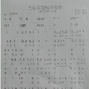 当心那苍蝇带电钻_歌谱投稿_词曲:张宏 张宏