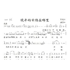 晚年的幸福在哪里_通俗唱法乐谱_词曲:丁言鸣 何建源