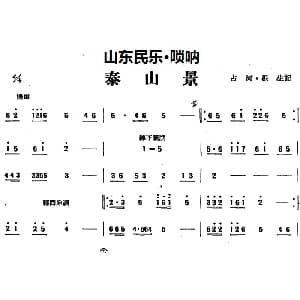 泰山景 山东民乐 管子 占河 根生记谱