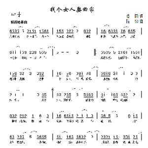 找个女人娶回家_歌曲简谱_词曲:烟雨 陆城