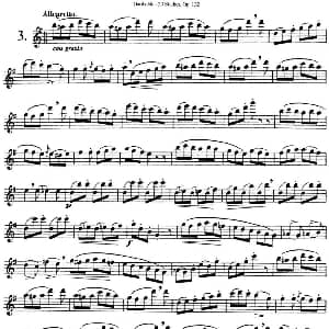 长笛曲谱 | 二十首练习曲作品132号之3 Garibold 加里波第