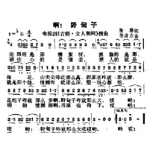 啊！野甸子_通俗唱法乐谱_词曲:张藜 徐沛东