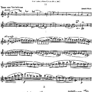 长笛曲谱 | 斯勒新老风格长笛练习重奏曲 第二部分 NO.11 Siegfried Thiele S. 斯勒