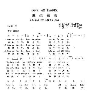 温柔的爱_歌曲简谱