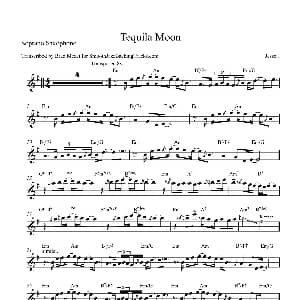 萨克斯谱 | Tequila Moon 高音萨克斯