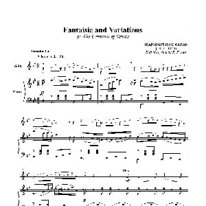 威尼斯狂欢节变奏 圆号 钢琴