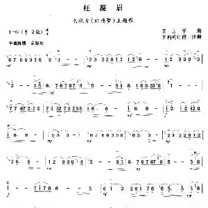 二胡谱 | 枉凝眉 王立平