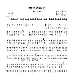 你说的以后_歌曲简谱_词曲:刘涛,鬼鬼 刘涛