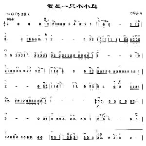 二胡谱 | 我是一只小小鸟
