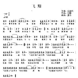 飞翔 _通俗唱法乐谱_词曲:纪朝风 阿影