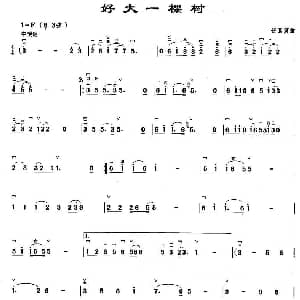 二胡谱 | 好大一棵树 伍嘉冀