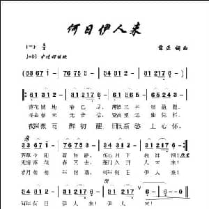 何日伊人来_通俗唱法乐谱_词曲:薛正 薛正