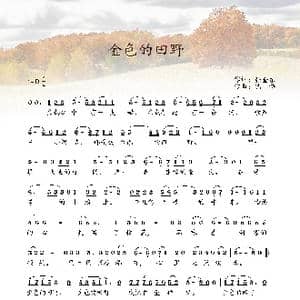 金色的田野_歌曲简谱_词曲:张金东 艺博