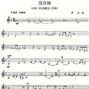 前世缘 电影 卧虎藏龙 插曲 大提琴谱