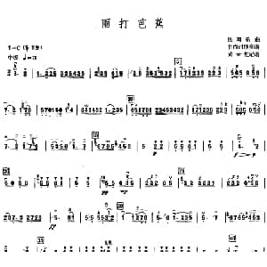 雨打芭蕉 甘尚时高胡演奏谱 黄天佐记谱